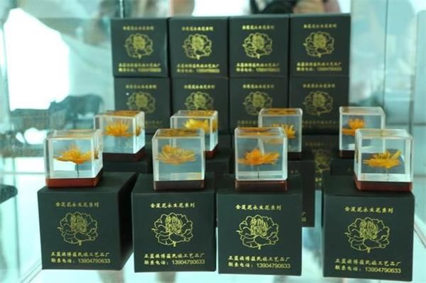 内蒙古正蓝旗:精准扶贫成效显著 内蒙古正蓝旗:精准扶贫成效显著