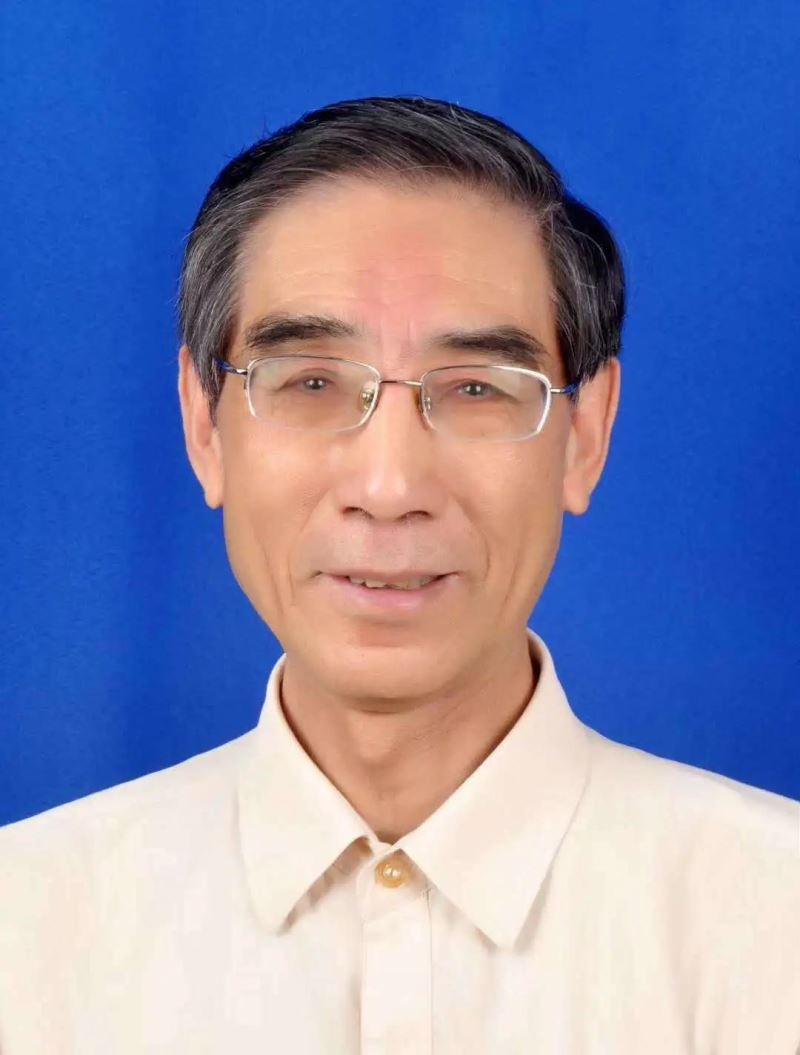 陈竟:纸尖上的锦绣中华,血脉里的民俗梦 陈竟:纸尖上的锦绣中华,血脉里的民俗梦