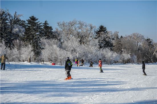 冰雪吉林引凤来：以冰雪之名，书写吉林w兴之精彩