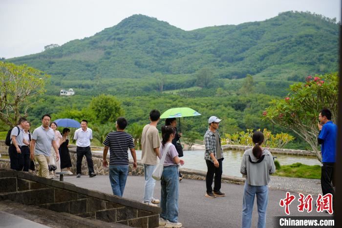 游客游览嘉禾共享农庄。